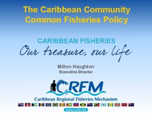 The Caribbean Community Common Fisheries Policy CARIBBEAN FISHERIES
