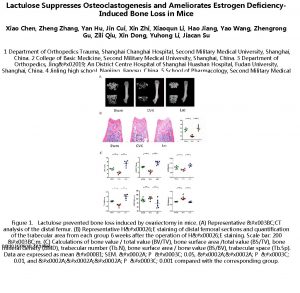 Lactulose Suppresses Osteoclastogenesis and Ameliorates Estrogen Deficiency Induced