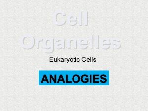 Cell Organelles Eukaryotic Cells Cell Parts Cells the