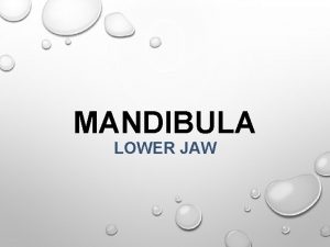 MANDIBULA LOWER JAW Anatomy Clinical notes Dentoalveolar topography