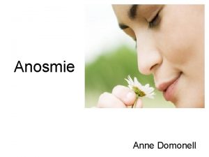 Anosmie Anne Domonell Inhalt Riechen Aufbau des Riechepithels