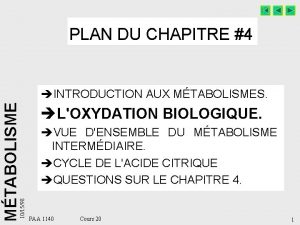 PLAN DU CHAPITRE 4 101598 MTABOLISME INTRODUCTION AUX