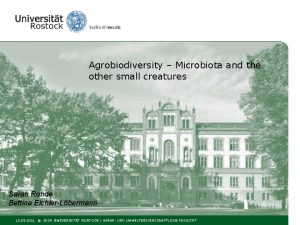 Agrobiodiversity Microbiota and the other small creatures Sarah