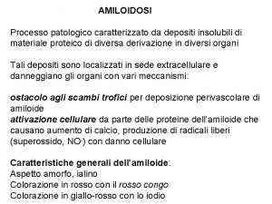 AMILOIDOSI Processo patologico caratterizzato da depositi insolubili di