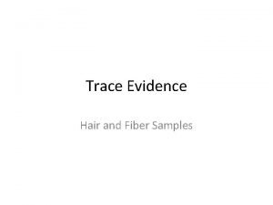 Trace Evidence Hair and Fiber Samples Trace Evidence
