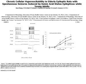 Chronic Cellular Hyperexcitability in Elderly Epileptic Rats with