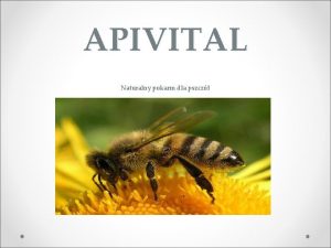 APIVITAL Naturalny pokarm dla pszcz 1 GOTOWY POKARM
