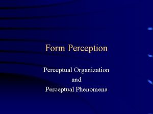 Form Perception Perceptual Organization and Perceptual Phenomena Perceptual