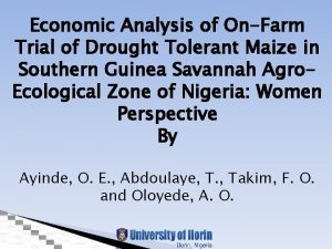 Economic Analysis of OnFarm Trial of Drought Tolerant