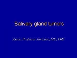 Salivary gland tumors Assoc Professor Jan Laco MD