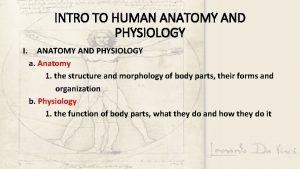INTRO TO HUMAN ANATOMY AND PHYSIOLOGY I ANATOMY