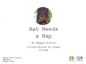 Bat Needs a Nap By Maggie Boston Illustrations