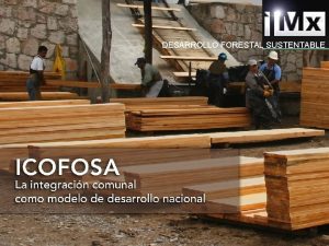 DESARROLLO FORESTAL SUSTENTABLE ANTECEDENTES INTEGRADORA COMUNAL FORESTAL DE