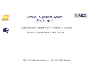 Lumi Cal Alignment System Status report Leszek Zawiejski