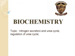 BIOCHEMISTRY Topic nitrogen excretion and urea cycle regulation