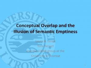 Conceptual Overlap and the Illusion of Semantic Emptiness