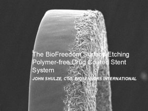 The Bio Freedom Surface Etching Polymerfree Drug Coated