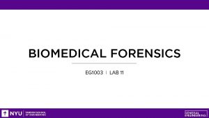 BIOMEDICAL FORENSICS EG 1003 LAB 11 OVERVIEW Objective