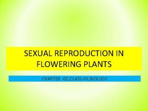 SEXUAL REPRODUCTION IN FLOWERING PLANTS CHAPTER 02 CLASSXII