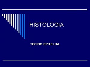 HISTOLOGIA TECIDO EPITELIAL DEFINIO o Clulas justapostas o