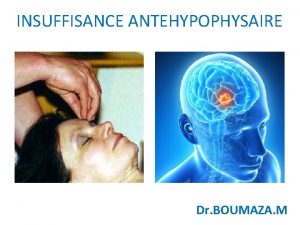 INSUFFISANCE ANTEHYPOPHYSAIRE Dr BOUMAZA M INTRODUCTIONDEFINITIONS Lhypopituitarisme antrieur