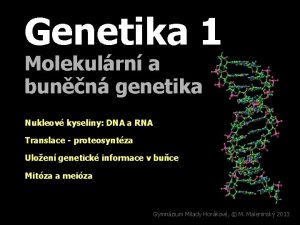 Genetika 1 Molekulrn a bunn genetika Nukleov kyseliny