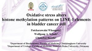 Oxidative stress alters histone methylation patterns on LINE1