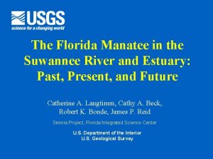 The Florida Manatee in the Suwannee River and