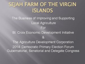 SEJAH FARM OF THE VIRGIN ISLANDS The Business