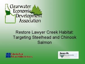 Restore Lawyer Creek Habitat Targeting Steelhead and Chinook