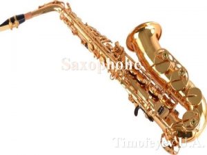 Saxophone Timofeyev U A The saxophone referred to