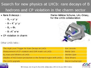 Search for new physics at LHCb rare decays