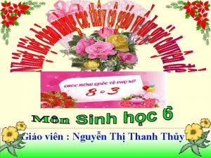 Gio vin Nguyn Th Thanh Thy 1 C