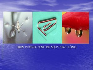 HIN TNG CNG B MT CHT LNG HIN