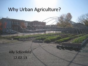 Why Urban Agriculture Ally Schonfeld 12 02 13