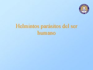 Helmintos parsitos del ser humano Helmintos parsitos El