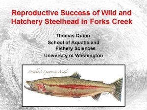 Reproductive Success of Wild and Hatchery Steelhead in