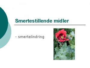 Smertestillende midler smertelindring Fremstilling af lgemidler 1850 100