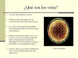 Qu son los virus n Virus en latn