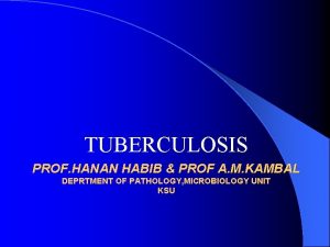 TUBERCULOSIS PROF HANAN HABIB PROF A M KAMBAL