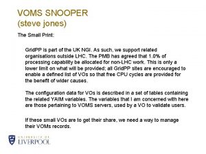 VOMS SNOOPER steve jones The Small Print Grid