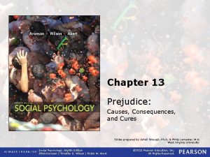 Chapter 13 Prejudice Causes Consequences and Cures Slides