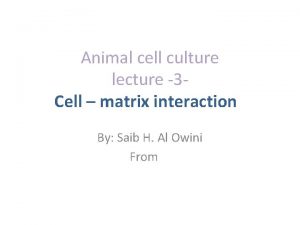 Animal cell culture lecture 3 Cell matrix interaction