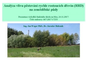 Analza vlivu pstovn rychle rostoucch devin RRD na