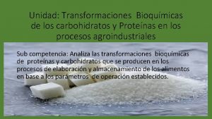 Unidad Transformaciones Bioqumicas de los carbohidratos y Protenas