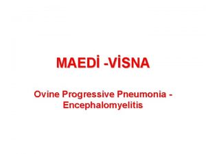 MAED VSNA Ovine Progressive Pneumonia Encephalomyelitis Ayn virus