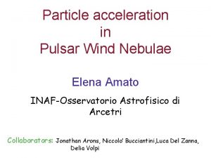 Particle acceleration in Pulsar Wind Nebulae Elena Amato
