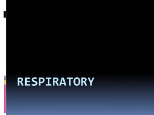 RESPIRATORY Eupnea normal quiet breathing Apnea cessation of