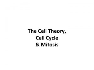 The Cell Theory Cell Cycle Mitosis The Cell