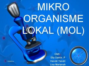 MIKRO ORGANISME LOKAL MOL 23062014 Oleh Elly Sarnis